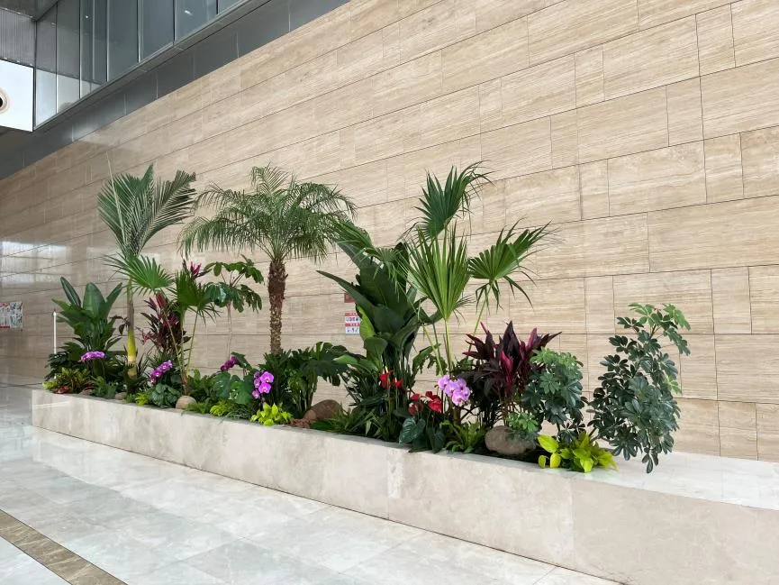 专业绿植出租，给宁波北仑的家带来四季如春的美！